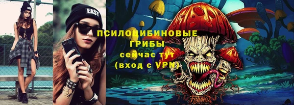 МДПВ Алексин