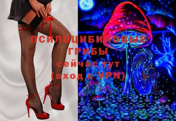 ГАЛЛЮЦИНОГЕННЫЕ ГРИБЫ Арсеньев
